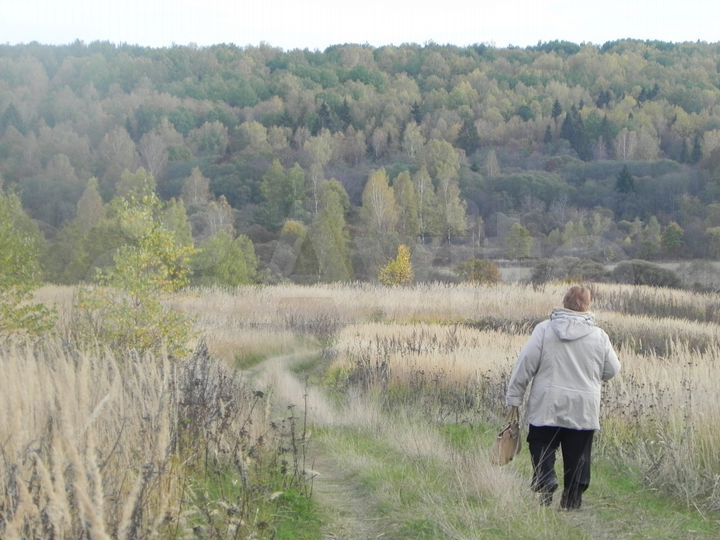 Участок 7,12 га (ИЖС)