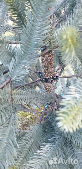 Ель искуственная 210 б/у