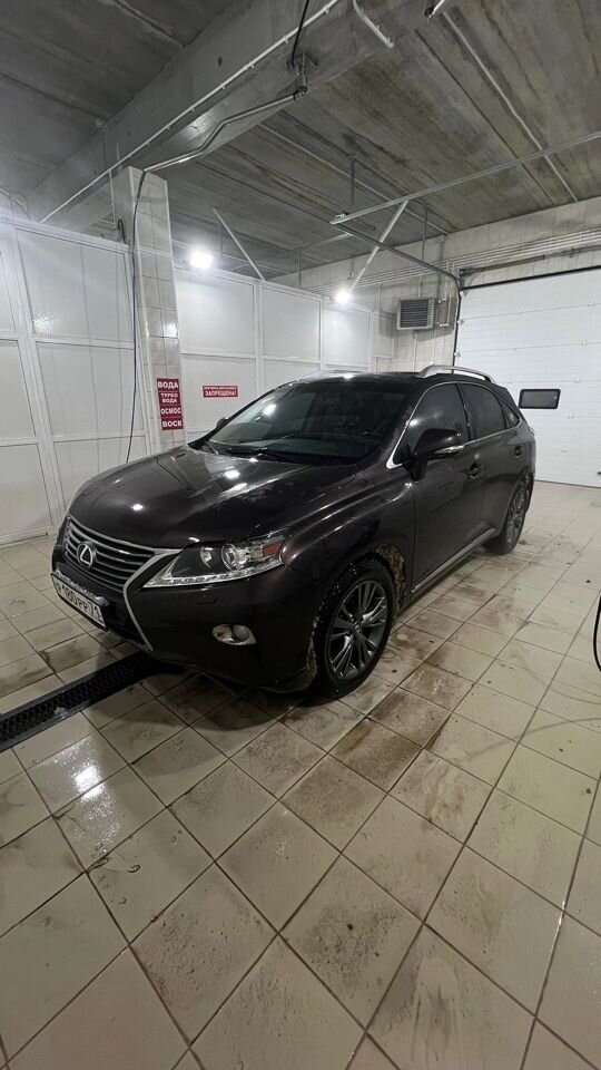 Lexus RX: фото владельца