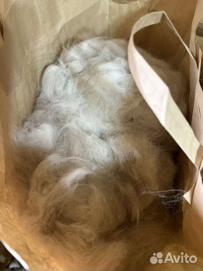 Подшерсток самоеда