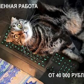 Оператор на удаленку, без продаж, официально