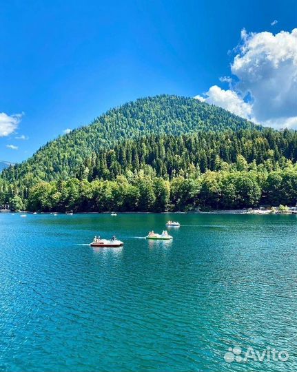 Однодневная экскурсия в Абхазию