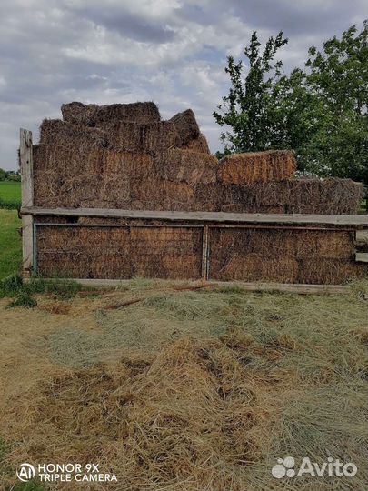 Сено люцерны в тюках