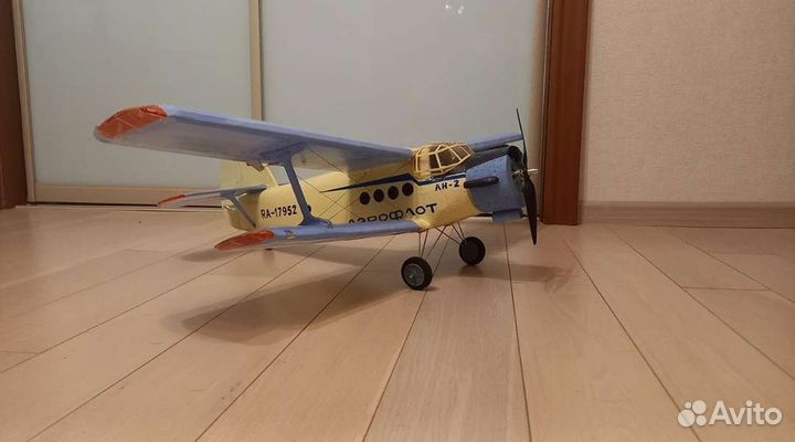 Радиоуправляемый самолёт