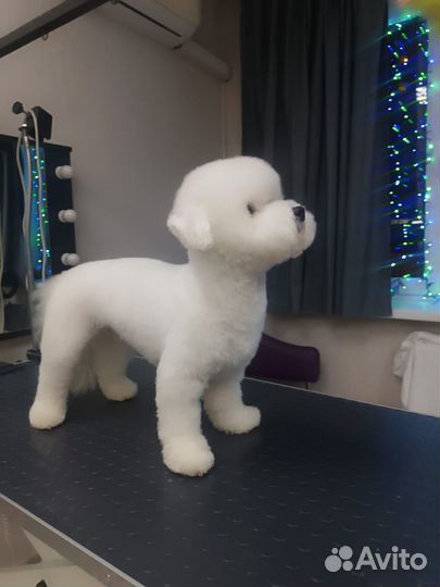 Груминг, стрижка собак и кошек Зоосалон Одинцово