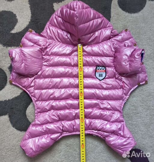 Одежда для средних и мелких собак