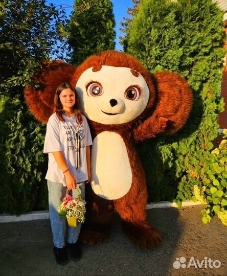 Чебурашка Поздравление. Аниматор на праздник