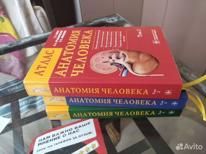 Атлас анатомии билич крыжановский