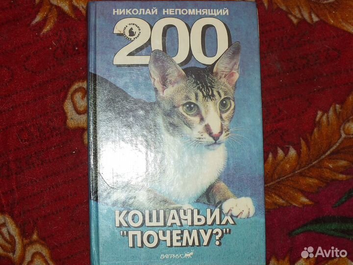 200 кошачьих почему