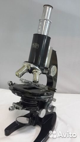 Микроскоп Сarl Zeiss jena №255999 аренда