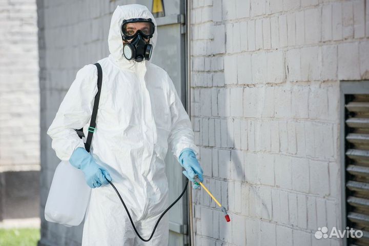 Дезинсекция дератизация
