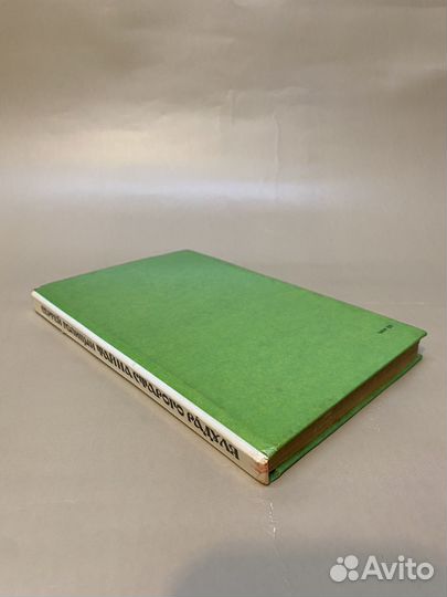 Голицын С. Тайна старого радуля