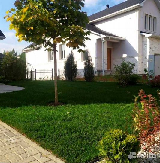 Газон. Рулонный газон