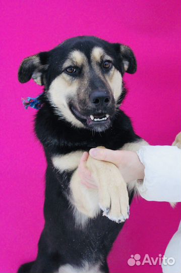 Рут ищет семью