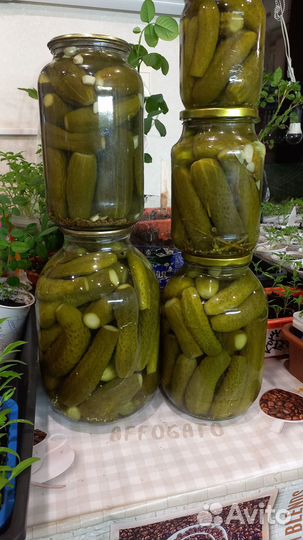 Вкусняшки из погребка