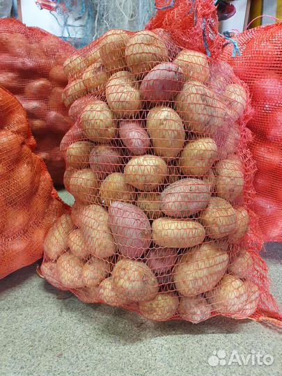 Картошка продажа