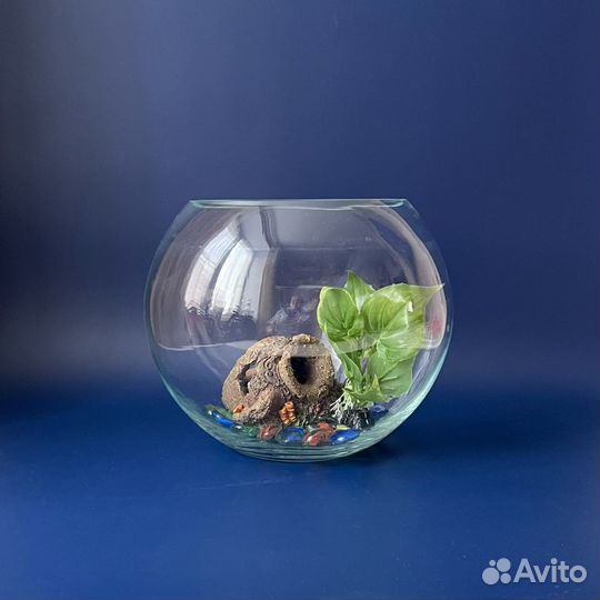 Круглый аквариум 6 л с украшениями для петушка