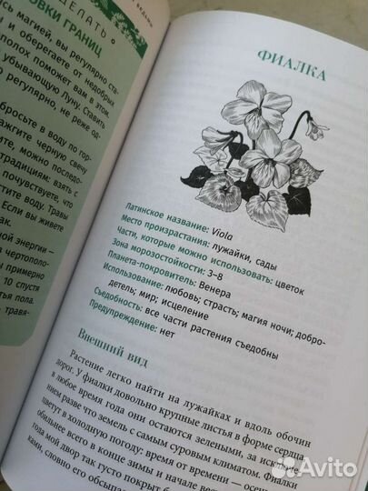 Дикие растения - руководство для ведьмы