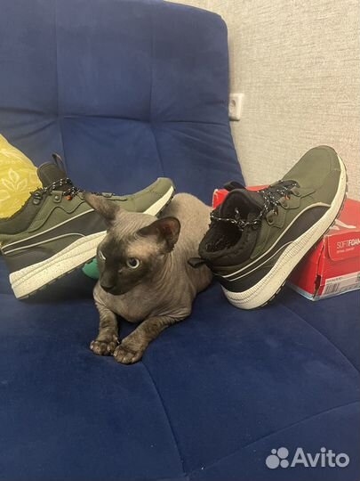 Зимние кросы Puma pecer next sb wtr.Оригинал