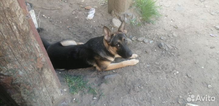 Спасите душу