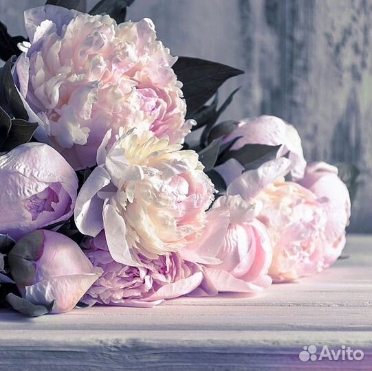 Мебельные купоны, велюр, 70см*70см