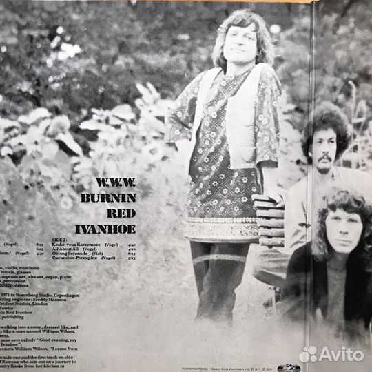 Виниловая пластинка Burnin Red Ivanhoe WWW