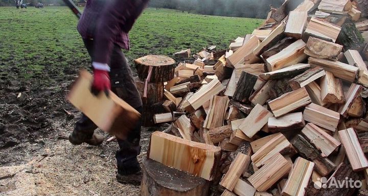 Дрова с Зеленогорска