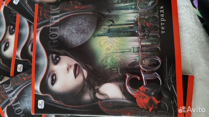 Тетрадь 48 листов gothic