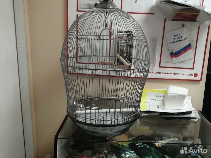 Клетка для попугая корелла