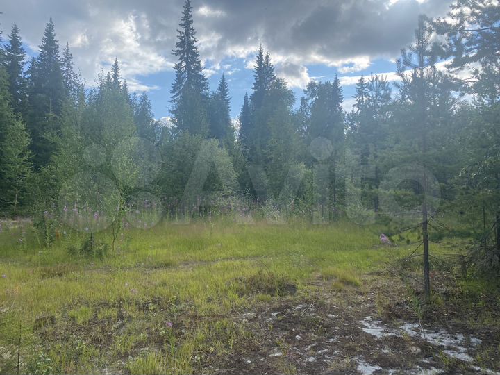 Участок 6,5 сот. (СНТ, ДНП)