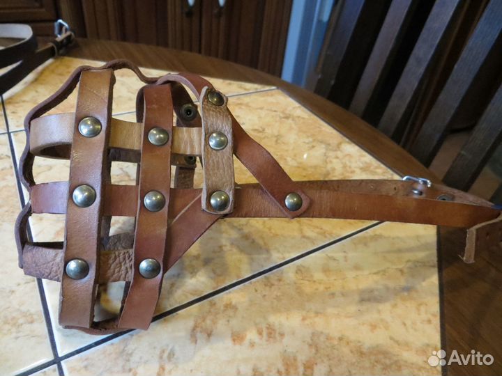 Намордник, шлейка,ошейник,лежанка