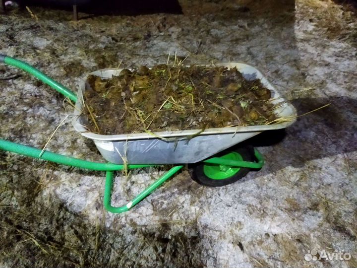 Конский навоз