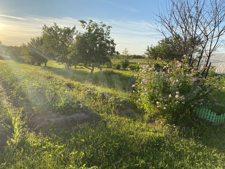 Участок 21,8 сот. (ИЖС)