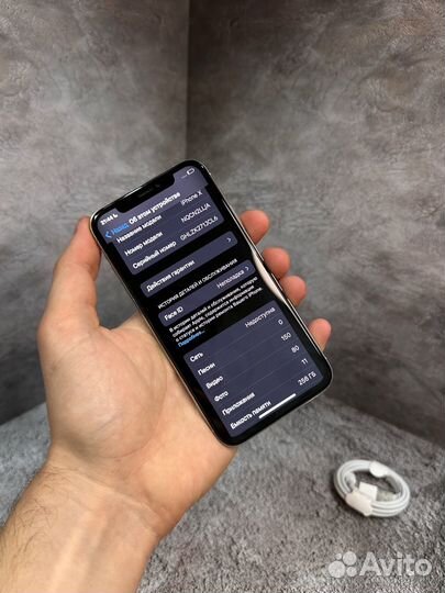 iPhone X, 256 ГБ