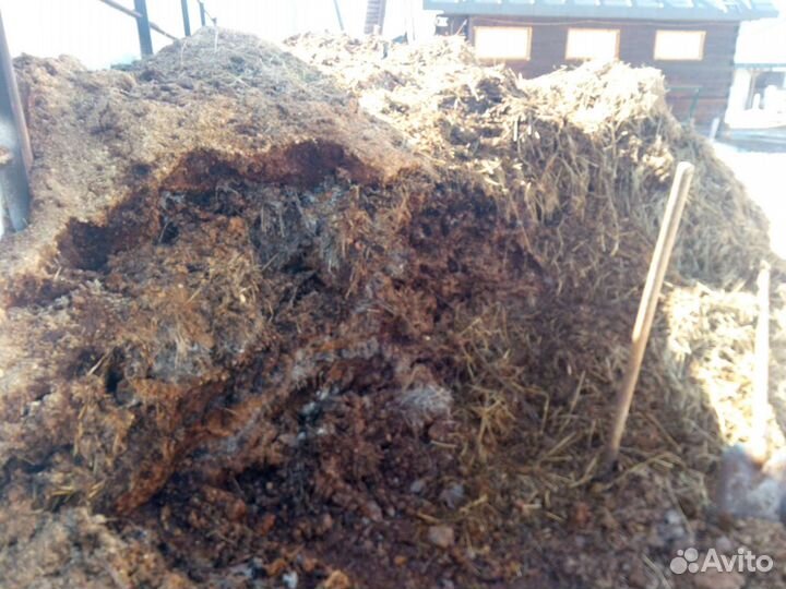 Конский навоз