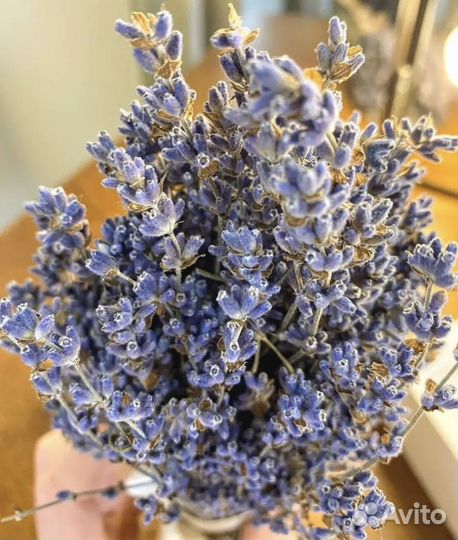 Букет лаванды