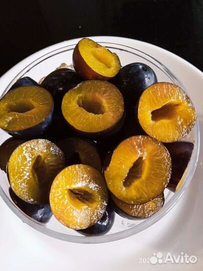 Слива Синяя птица большие саженцы