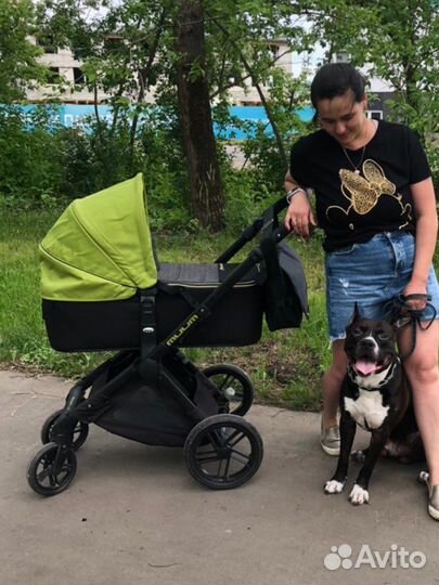 Коляска jane muum 2 в 1