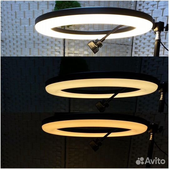 Кольцевая лампа