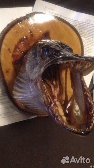 Чучело из голов рыб