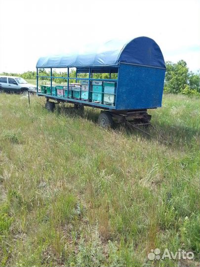 Продается пасека