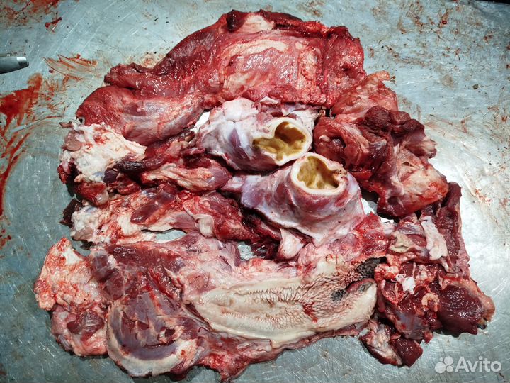 Мясо говядина для собак