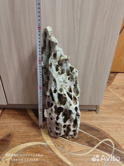 Песчанник для аквариума