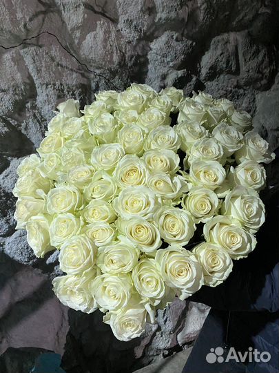 51 роза с доставкой по Крыму