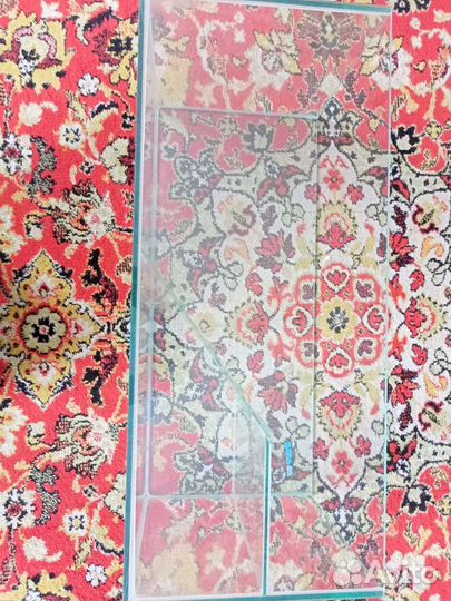 Акватеррариум для черепахи