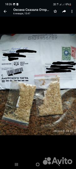 Павловния семена z07 и 9501