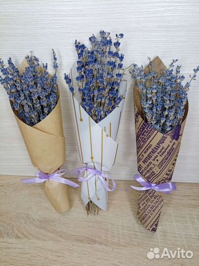 Лаванда сухоцвет