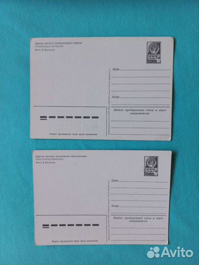 Открытки СССР