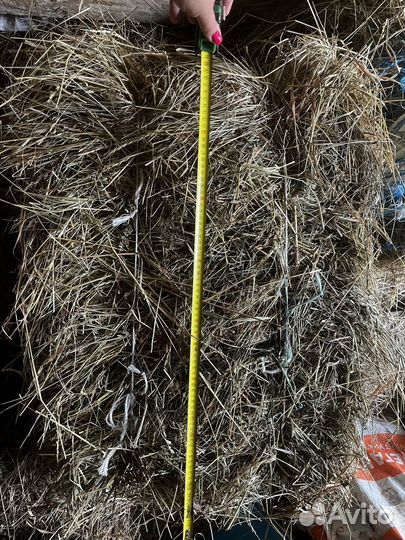 Сено в тюках