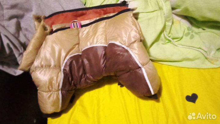 Одежда для маленьких собак